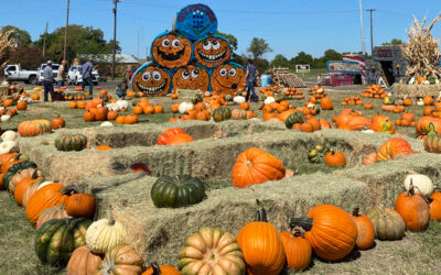 Fall Fun in the Upper East Side of Texas