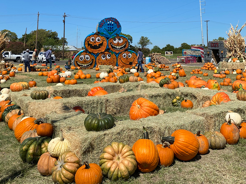 Fall Fun in the Upper East Side of Texas