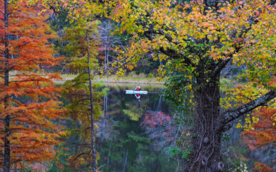 Make Plans to See Fall Foliage in Texas State Parks