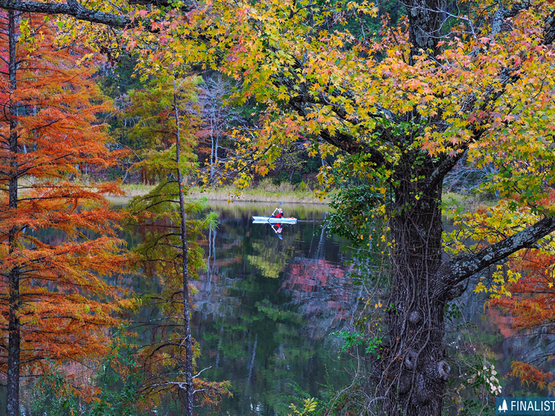 Make Plans to See Fall Foliage in Texas State Parks