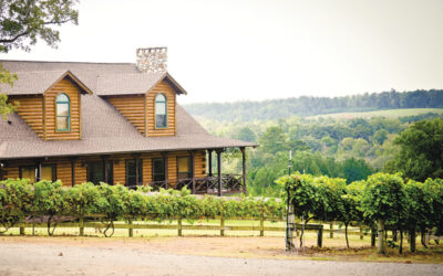 Vineyards & Wineries in the Upper East Side of Texas