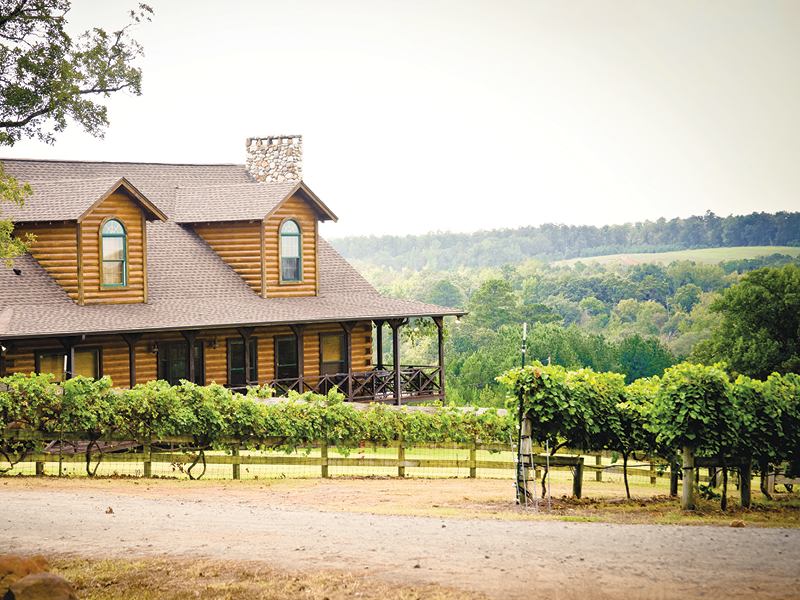 Vineyards & Wineries in the Upper East Side of Texas