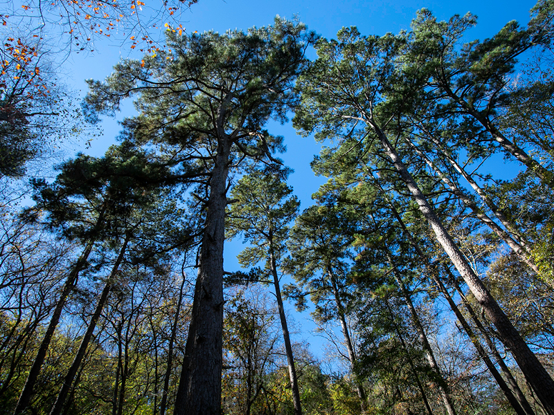 Texas Parks and Wildlife Commission Awards $30.9 Million in Local Park Grants