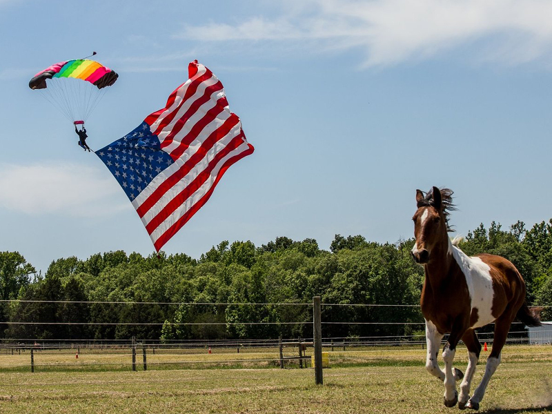 Airshow for Rescued Horses Takes Place at Wings Over Pegasus